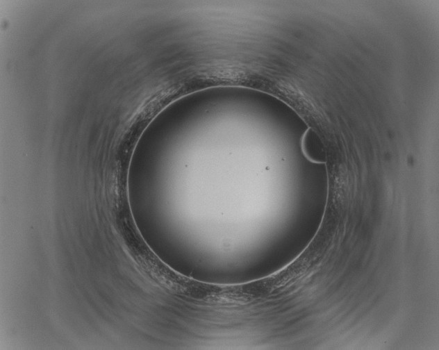 X0000063450739200601271538