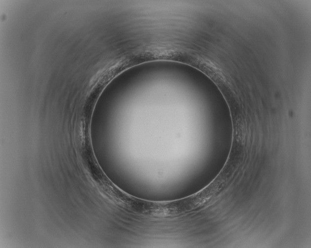 X0000063450740200601271538