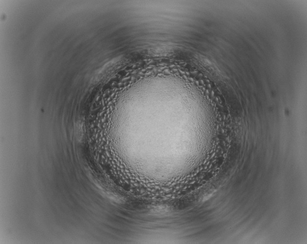 X0000063450741200601271538