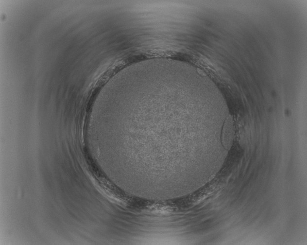 X0000063450742200601271538