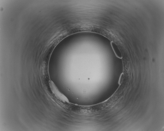 X0000063450744200601271538