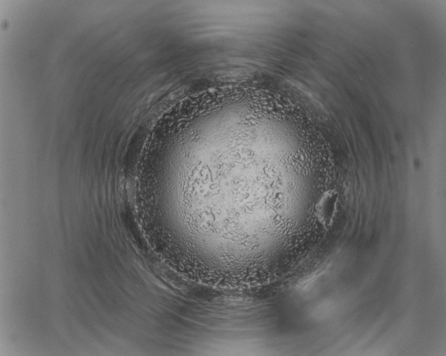 X0000063450745200601271538