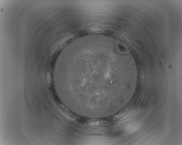 X0000063450746200601271538