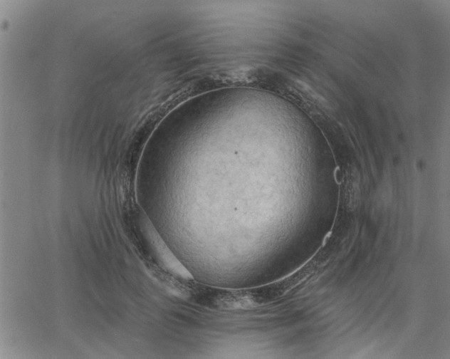 X0000063450747200601271538