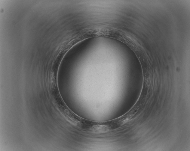 X0000063450748200601271538