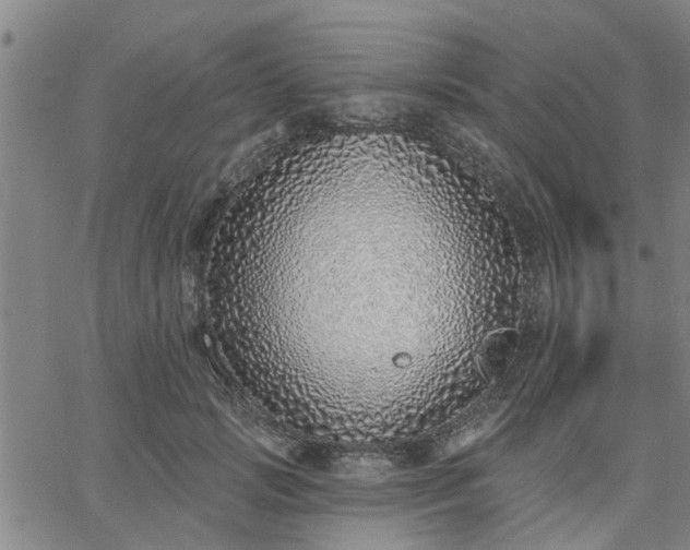 X0000063450749200601271538