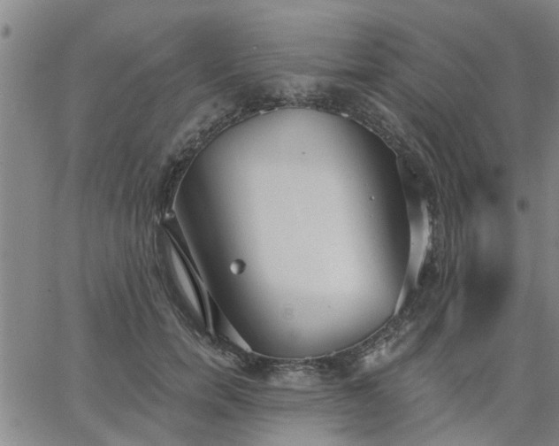 X0000063450750200601271539