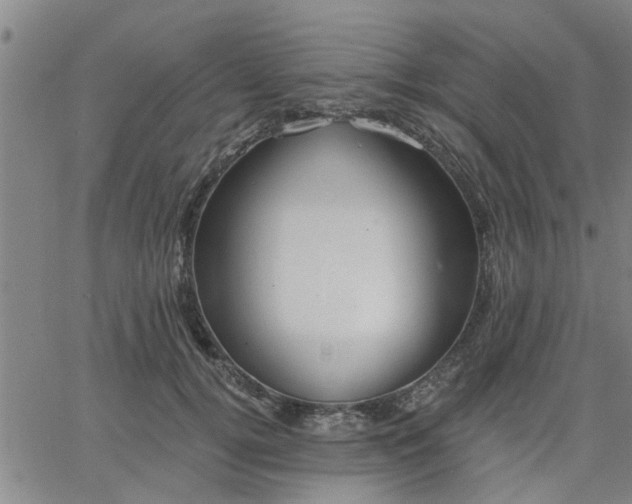 X0000063450752200601271539