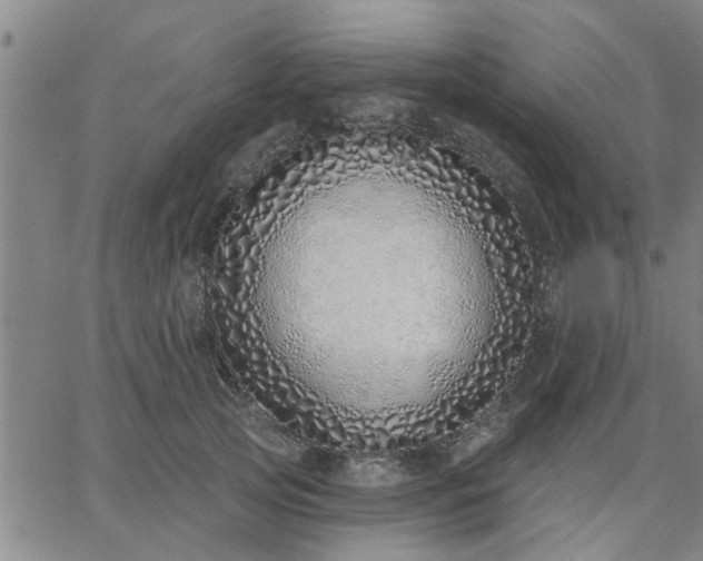 X0000063450753200601271539