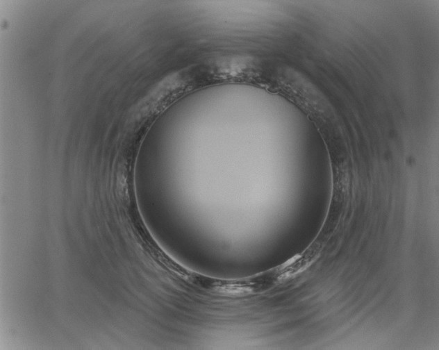 X0000063450754200601271539