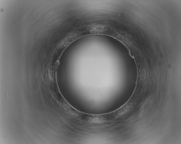 X0000063450755200601271539