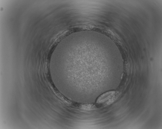 X0000063450757200601271539