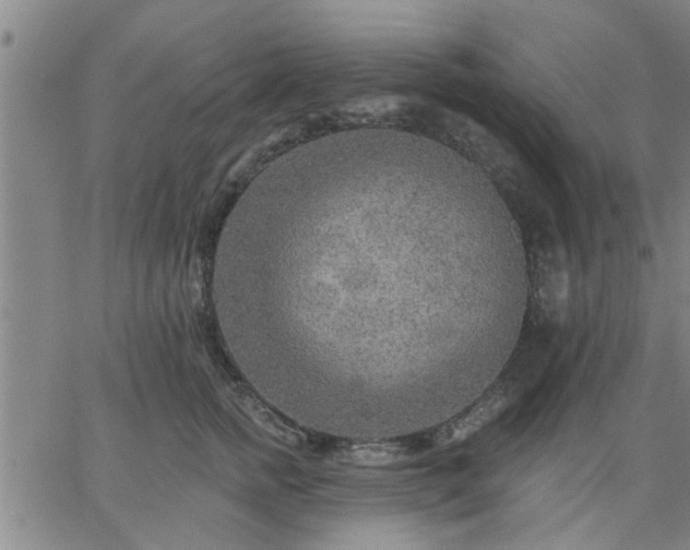 X0000063450758200601271539