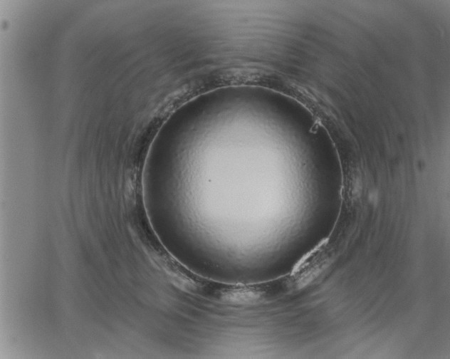 X0000063450759200601271539