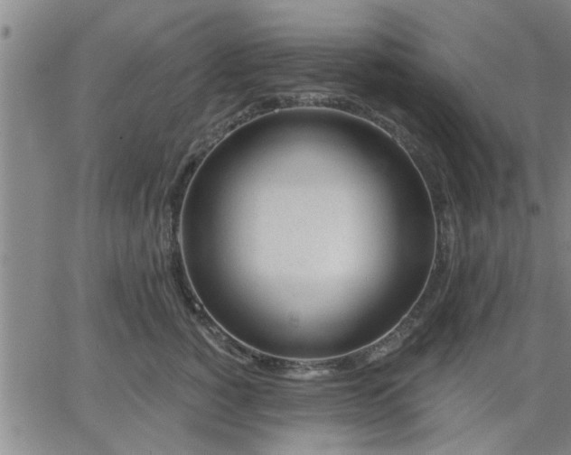 X0000063450760200601271539