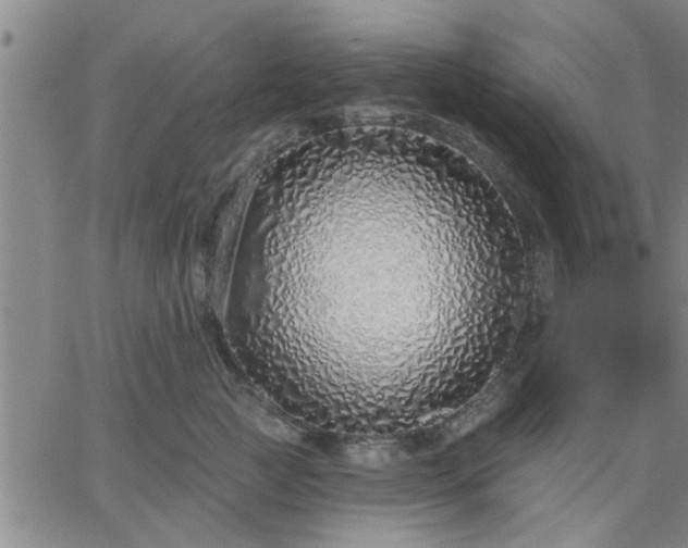 X0000063450761200601271539