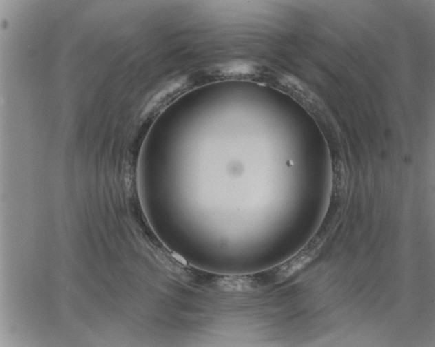 X0000063450762200601271539