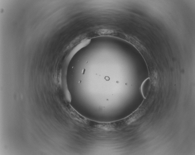 X0000063450763200601271539