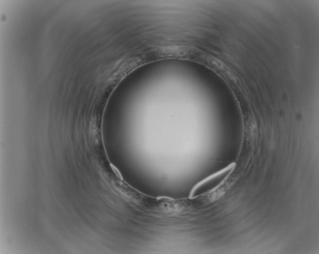 X0000063450764200601271539