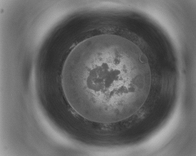 X0000063450765200601271539