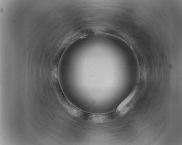 X0000063450766200601271539