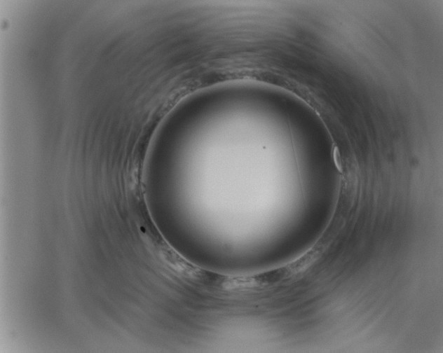 X0000063450767200601271539