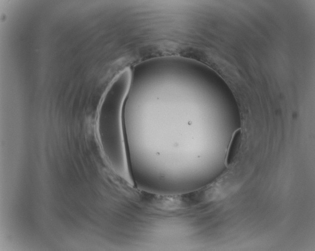 X0000063450768200601271539