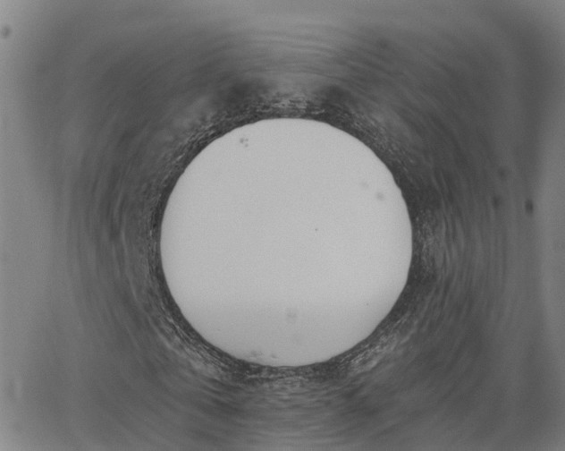 X0000063450769200601271538