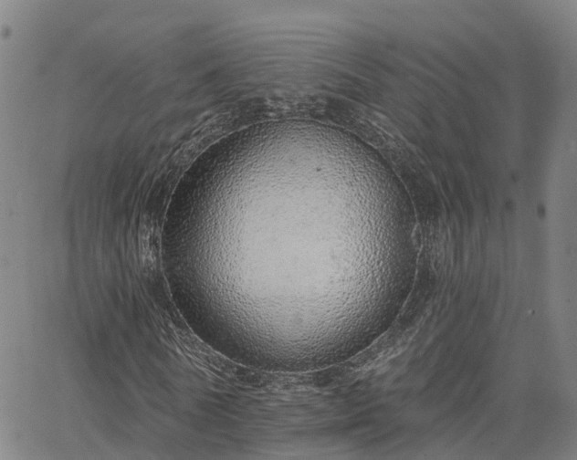 X0000063450770200601271538