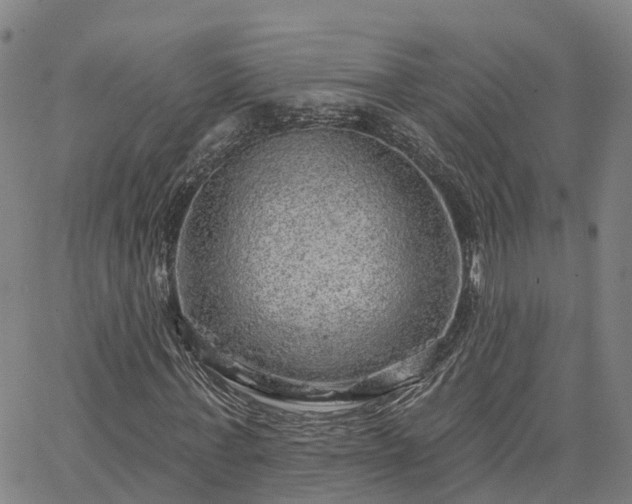 X0000063450771200601271538