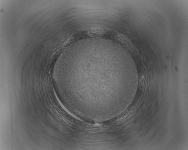 X0000063450772200601271538