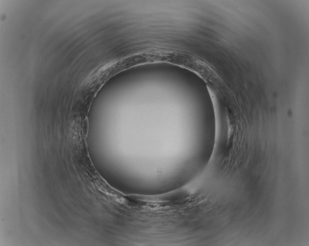 X0000063450773200601271538