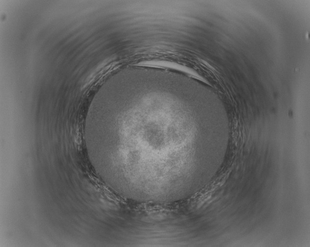 X0000063450774200601271538