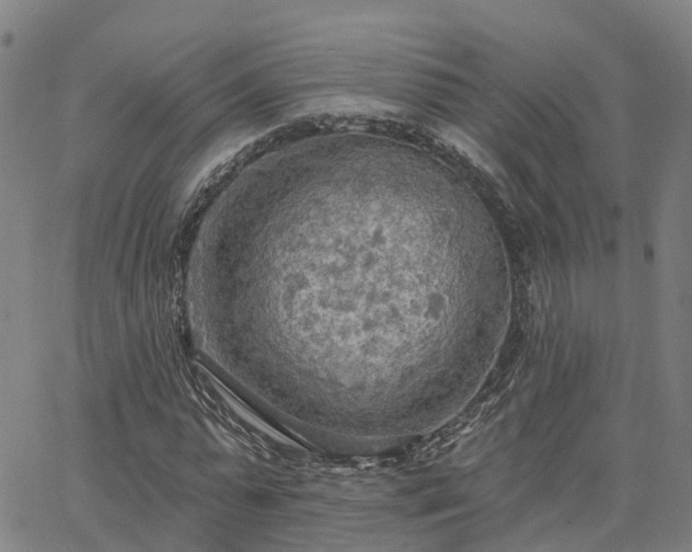 X0000063450775200601271538