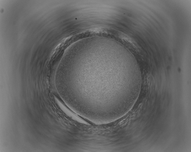 X0000063450776200601271538