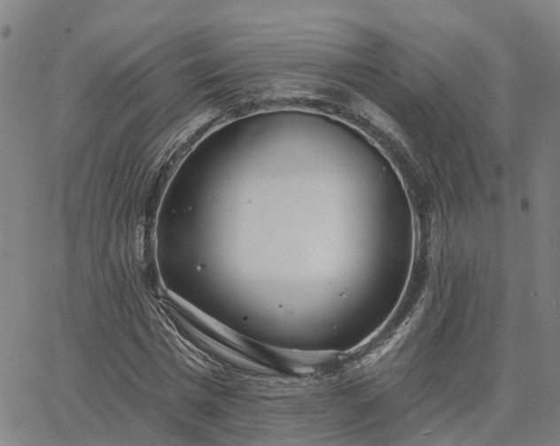 X0000063450777200601271538