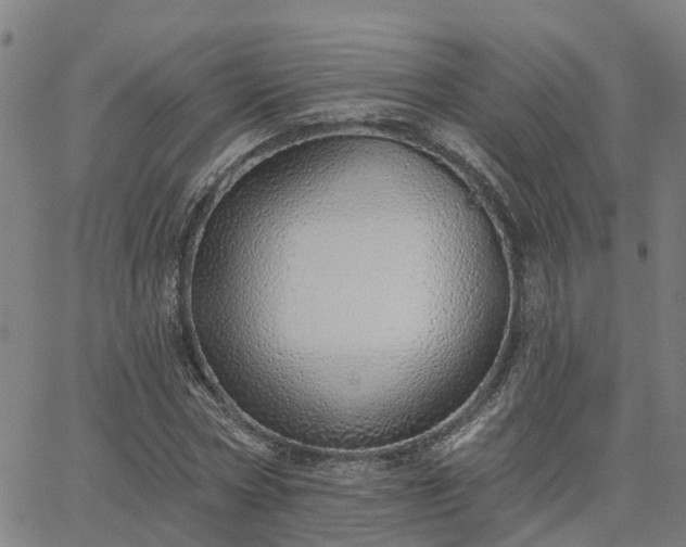 X0000063450778200601271538