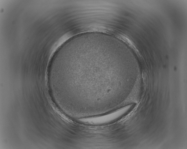 X0000063450780200601271538