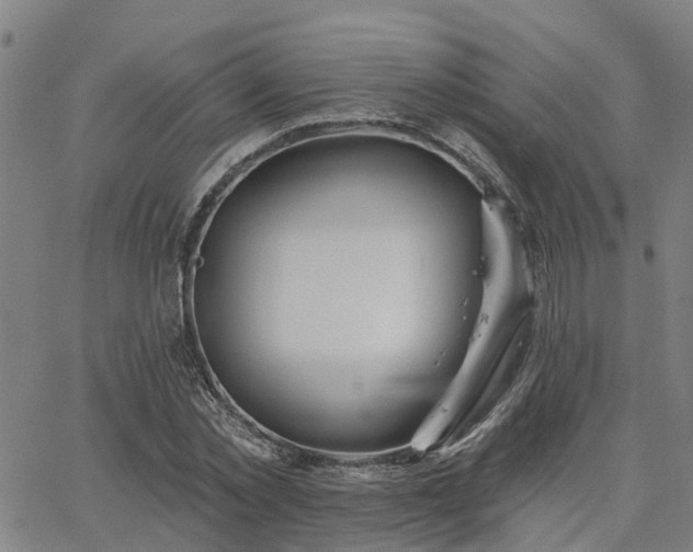 X0000063450781200601271538