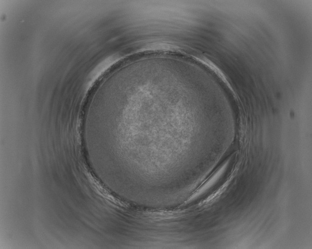 X0000063450783200601271538