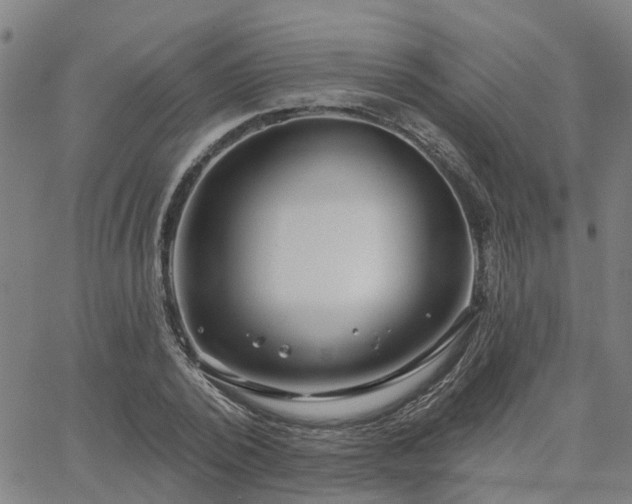 X0000063450784200601271538