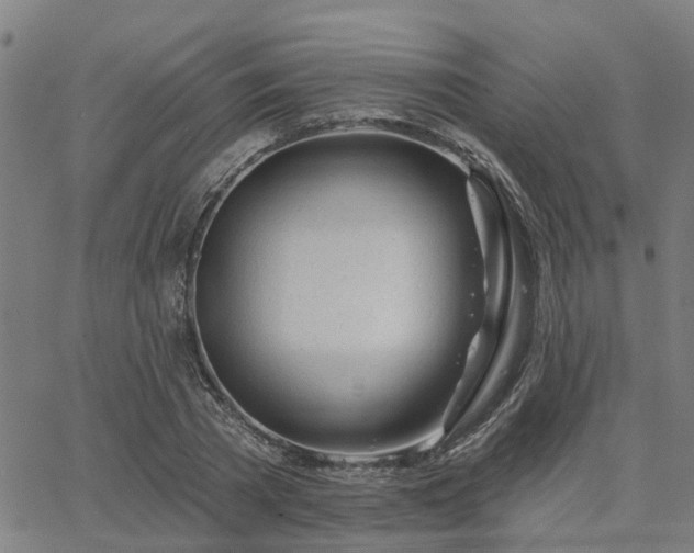 X0000063450785200601271538