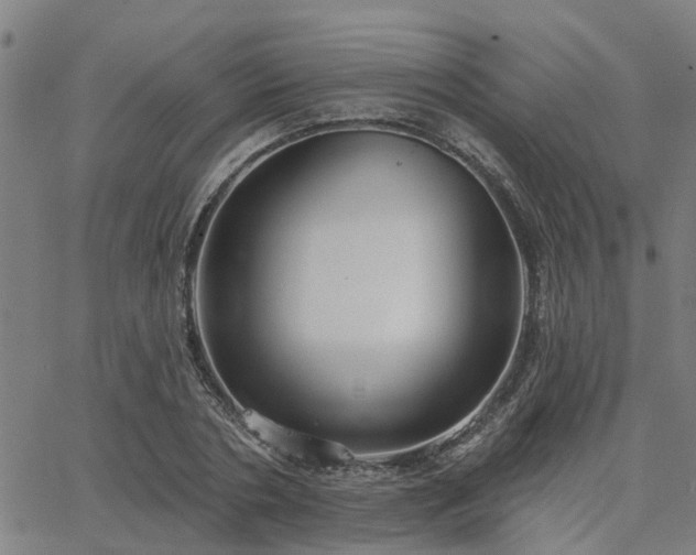 X0000063450786200601271538