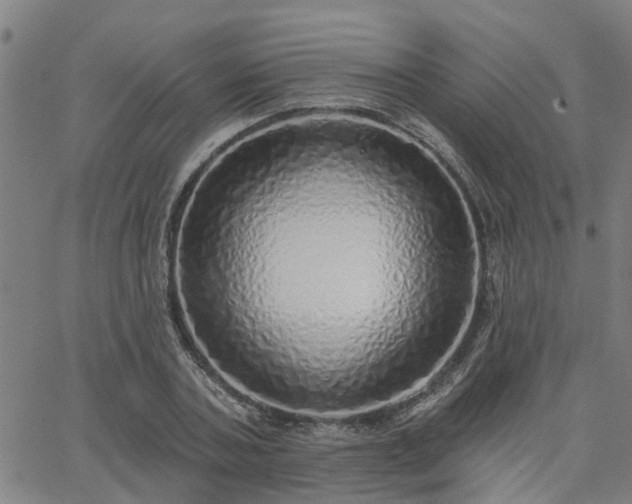 X0000063450787200601271538