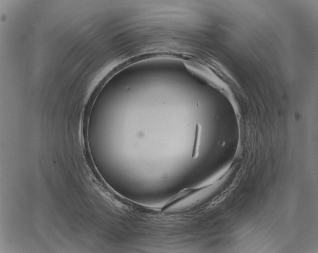 X0000063450788200601271538