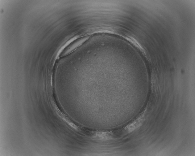 X0000063450790200601271538