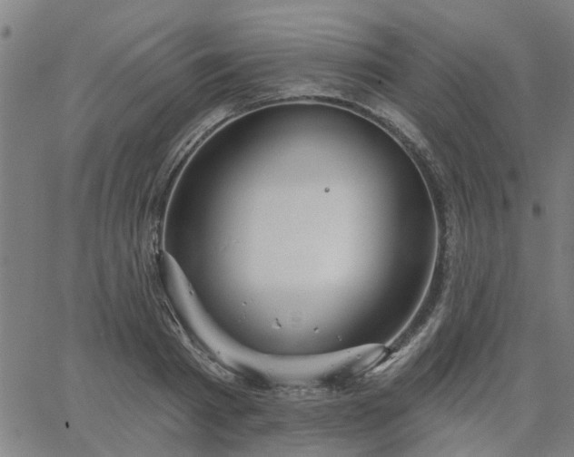 X0000063450793200601271538