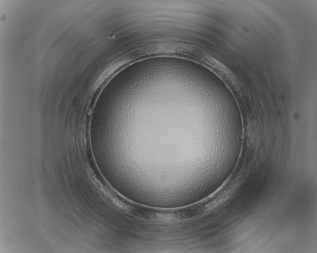 X0000063450794200601271538