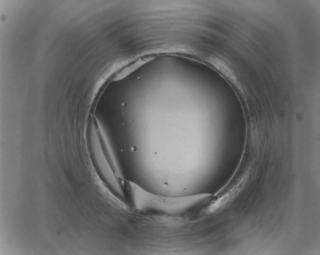 X0000063450797200601271538