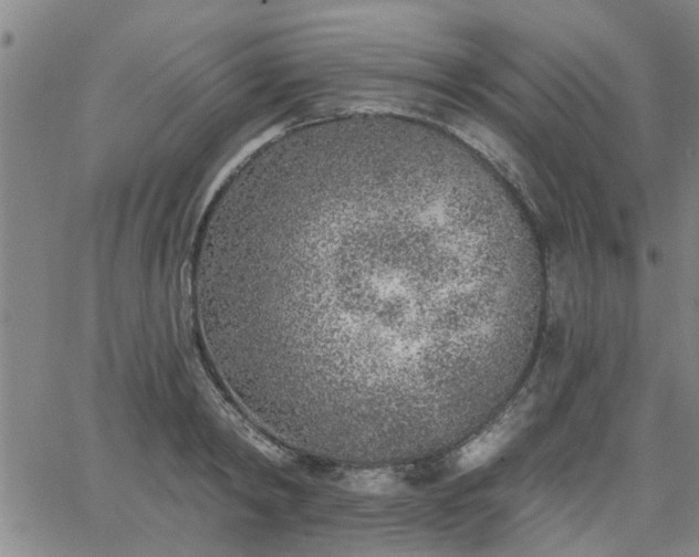 X0000063450798200601271538